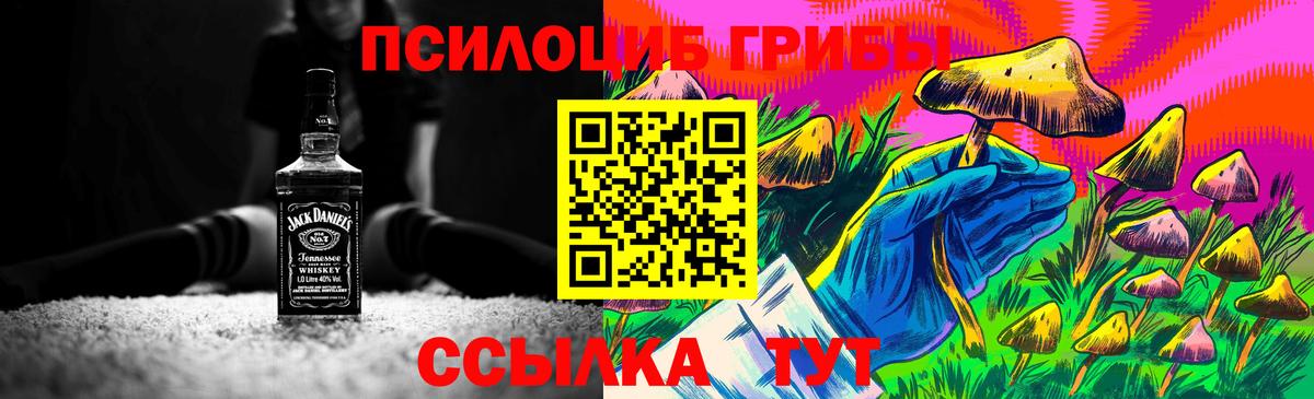 Галлюциногенные грибы MAGIC MUSHROOMS Гуково